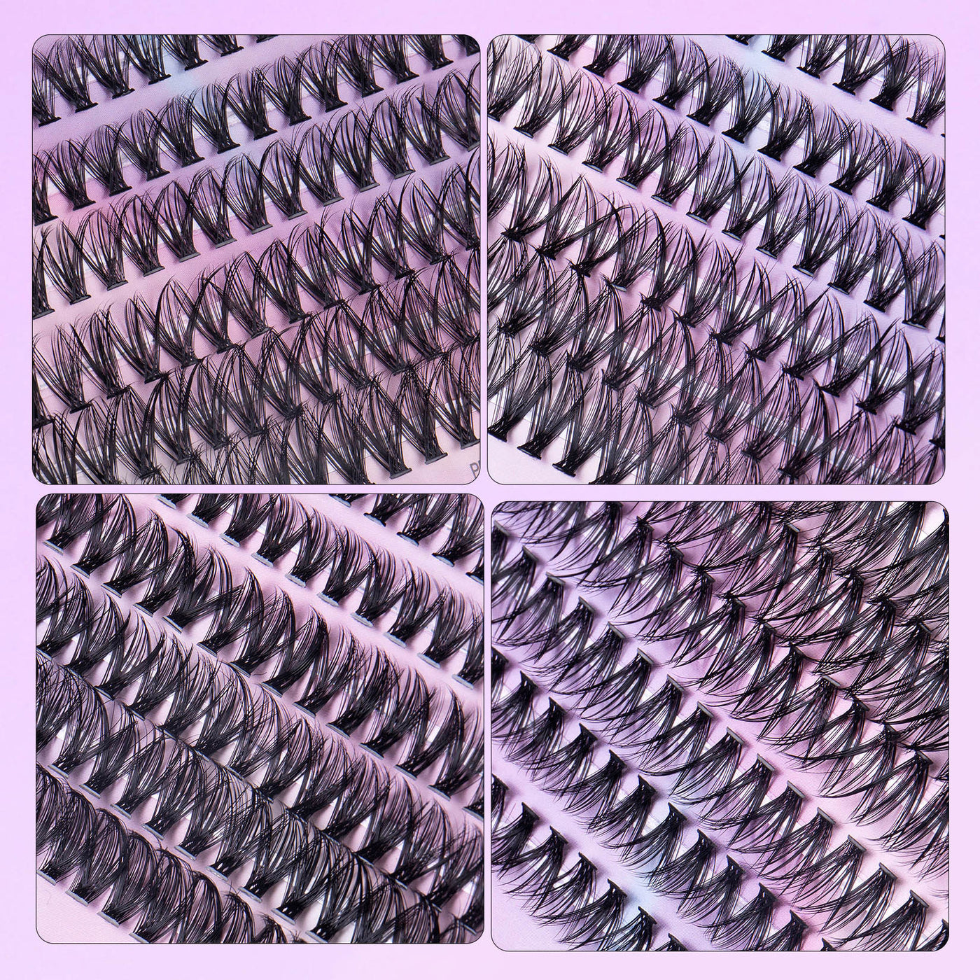 12 Rows Of 30D & 40D Clusters Lashes Set
